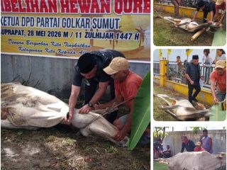 Iduladha 1447 H, Golkar Labuhanbatu Hadirkan Semangat Berbagi dan Kebersamaan